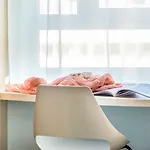 Ibis 3*