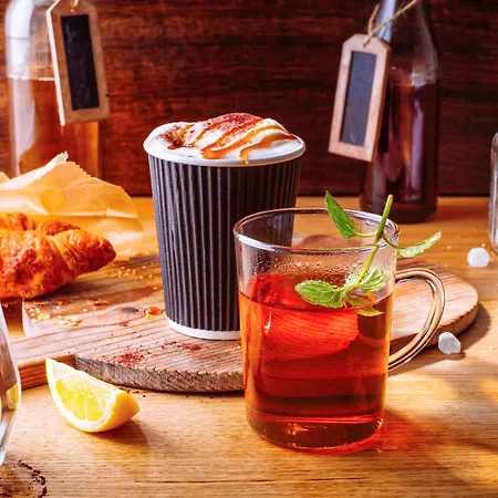 酒店 宜必思布雷根茨酒店